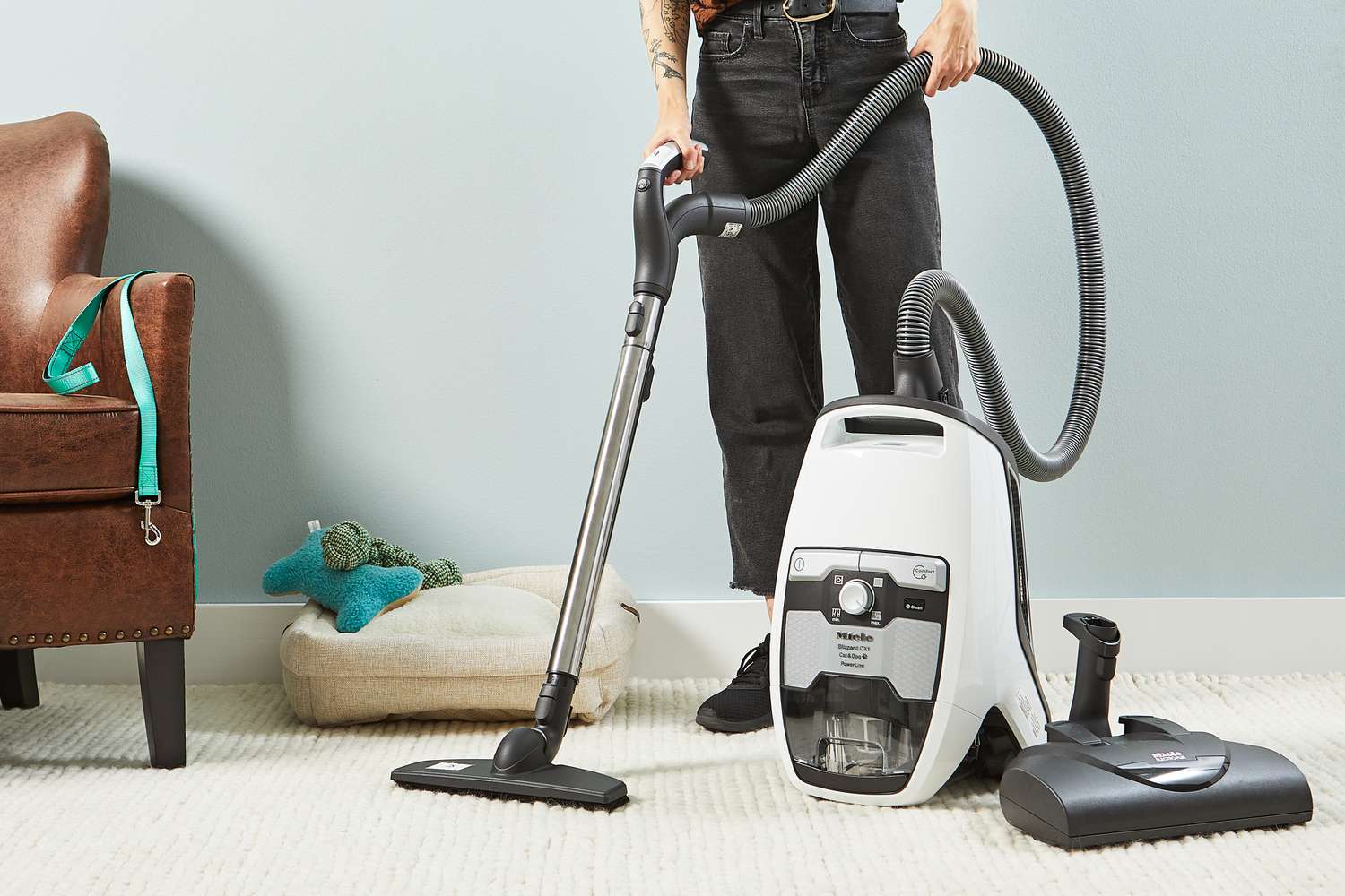 Person vacuuming carpet with the Miele Blizzard CX1 Cat & Dog Bagless Canister Vacuum